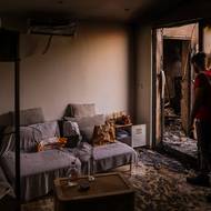 Místní média uvedla, že plameny se zřejmě rozšířily z požáru vozidla, které se vznítilo na dálnici A552.