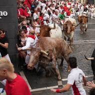 Přestože se to zvenčí může jevit, jako že v davu vládne anarchie, několik pravidel akce má. Půl hodiny před během se zavírají ploty a do té doby policie zajistí, že v oblasti běhu nejsou děti a mladiství nebo lidé, kteří vypadají opile nebo pod vlivem drog.