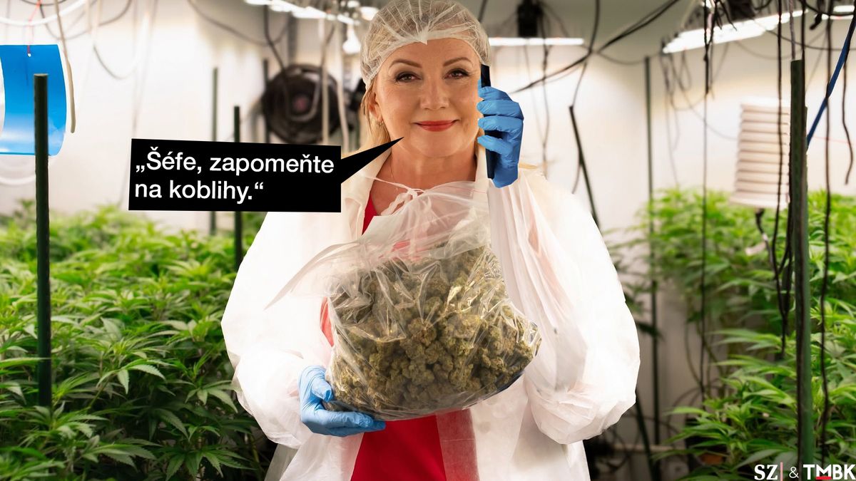 TMBK: ANO má pro voliče nové kampaňové lákadlo. Je ovšem trochu ošemetné