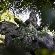 Donedávna nebyla pod rozbujelými rostlinami a stromy ani vidět.