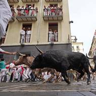 Běhy se konají každý den v 8:00 až do příštího pondělí. 