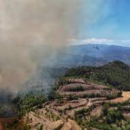 Letos situaci zhoršuje také sucho, s nímž se Syřané potýkají po srážkově podprůměrné zimě, kvůli níž vyschly prameny a řeky, které obvykle zásobují pitnou vodou velkou část obyvatelstva.
(Latákíja, 5. července.)