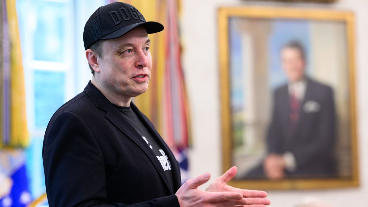 Musk zakládá politickou stranu. Mohl by uspět, domnívá se expert