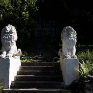 Schodiště na úpatí strmého srázu stráží dva sedící lvi.