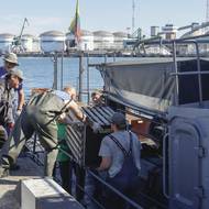 „Matky jsou nuceny rozmnožovat se na souši a ve vysoké koncentraci s ostatními tuleni,“ vysvětluje vědkyně z Vilniuské univerzity Vaida Survilieneová. V důsledku toho nejsou schopny rozpoznat svá mláďata, často je proto opouštějí, dodává.