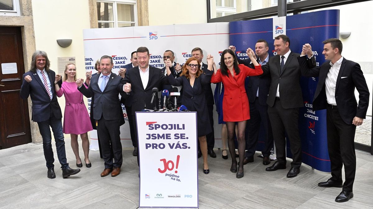 Clash of vlastenci. Jak se krajní pravice vždycky popere o koryta