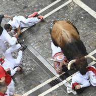 Při běhu jsou zakázány jakékoli předměty, které můžou účastníkům bránit v běhu, včetně batohů a fotoaparátů. Zakázáno je také dotýkat se býků. V případě pádu pořadatelé radí lidem nevstávat a chránit si hlavu.