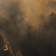 Syrský ministr pro zvládání krizových situací Raed al-Saleh označil požáry za „skutečnou environmentální pohromu“, mluvil o „katastrofě“.

(Latákíja, 5. července.)