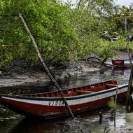 Podle Mezivládního panelu OSN pro změnu klimatu žije téměř sedm z deseti obyvatel této bývalé nizozemské kolonie s 600 tisíci obyvateli v nízko položených pobřežních oblastech.