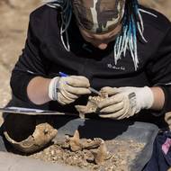 Zapsání do databáze předchází odborné ohledání.