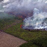 Třiapadesátiletý Rohman byl jedním z těch, kteří podali přelomovou žalobu. Tvrdili, že tři společnosti s nedalekými dřevařskými plantážemi na rašeliništích nesou právní odpovědnost za zdravotní, ekonomické a sociální dopady na místní obyvatelstvo. (Požár ve vesnici Petar Luar v okrese Muara Enim v provincii Jižní Sumatra, 30. srpna.)