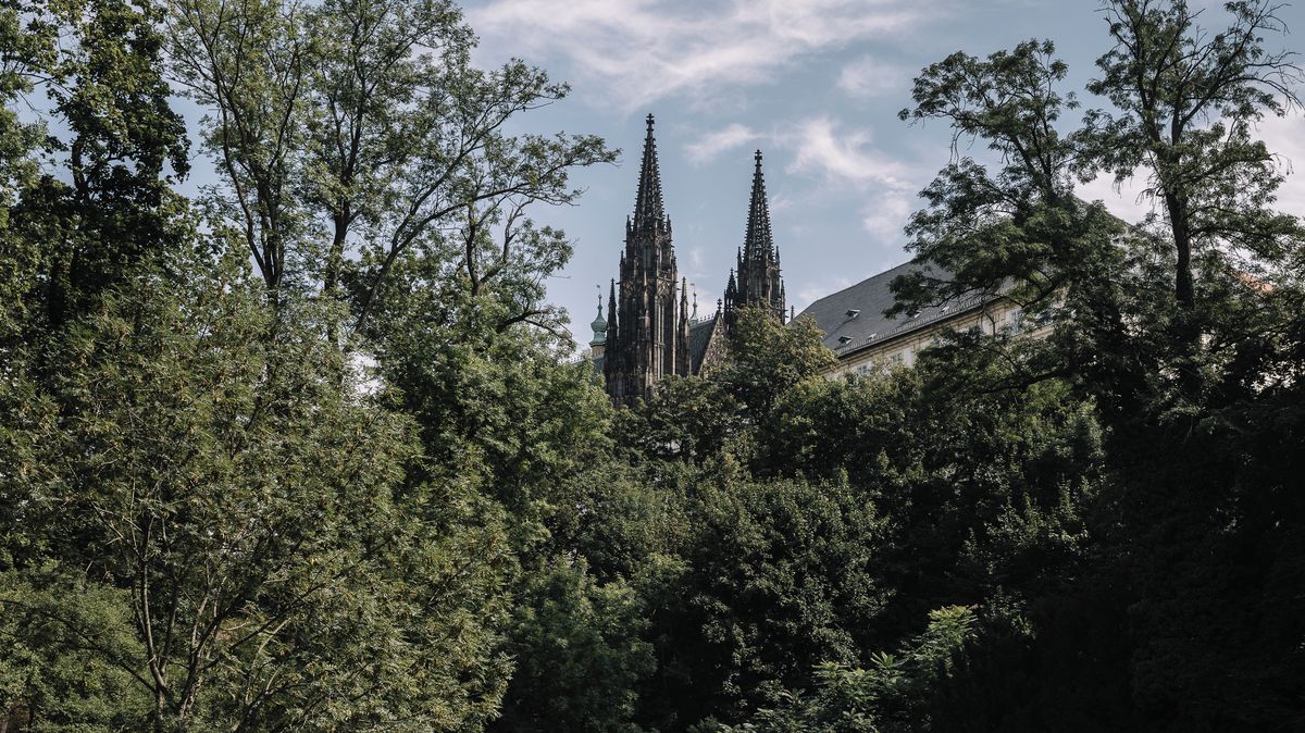 Trávník v Jelením příkopě je starší než Hrad. Některé byliny už jedli mamuti