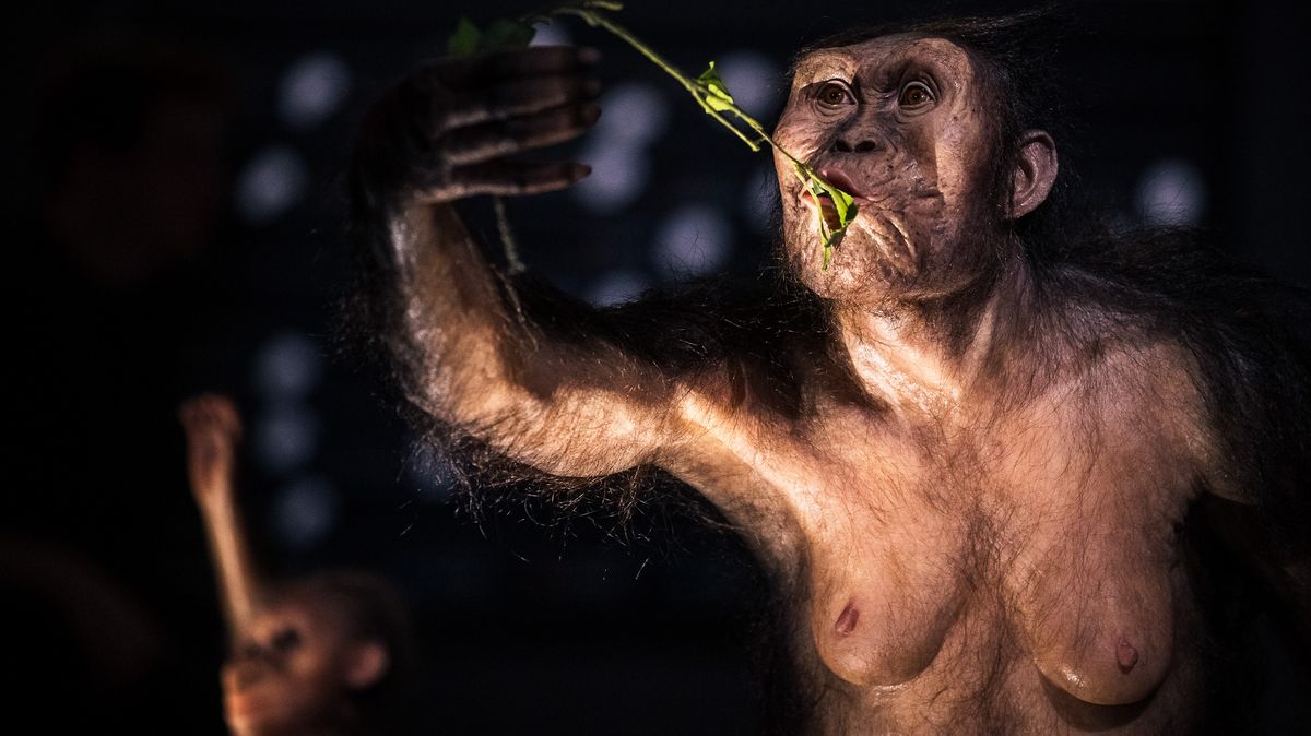 Je to splnění snu, říká ředitel o výstavě Lucy a Selam v Národním muzeu