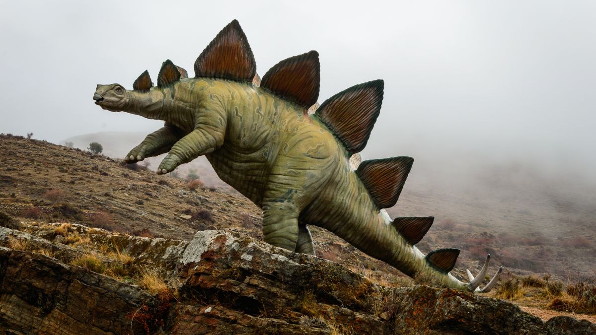 Potkal člověk živého stegosaura? Ruská univerzita skryla pochybný ústav