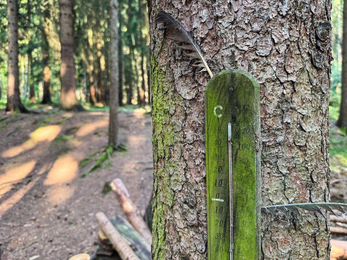 Teplota stoupá. Kde se dá vykoupat?