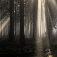 A mlčky hltat divadlo, které ti příroda připraví.