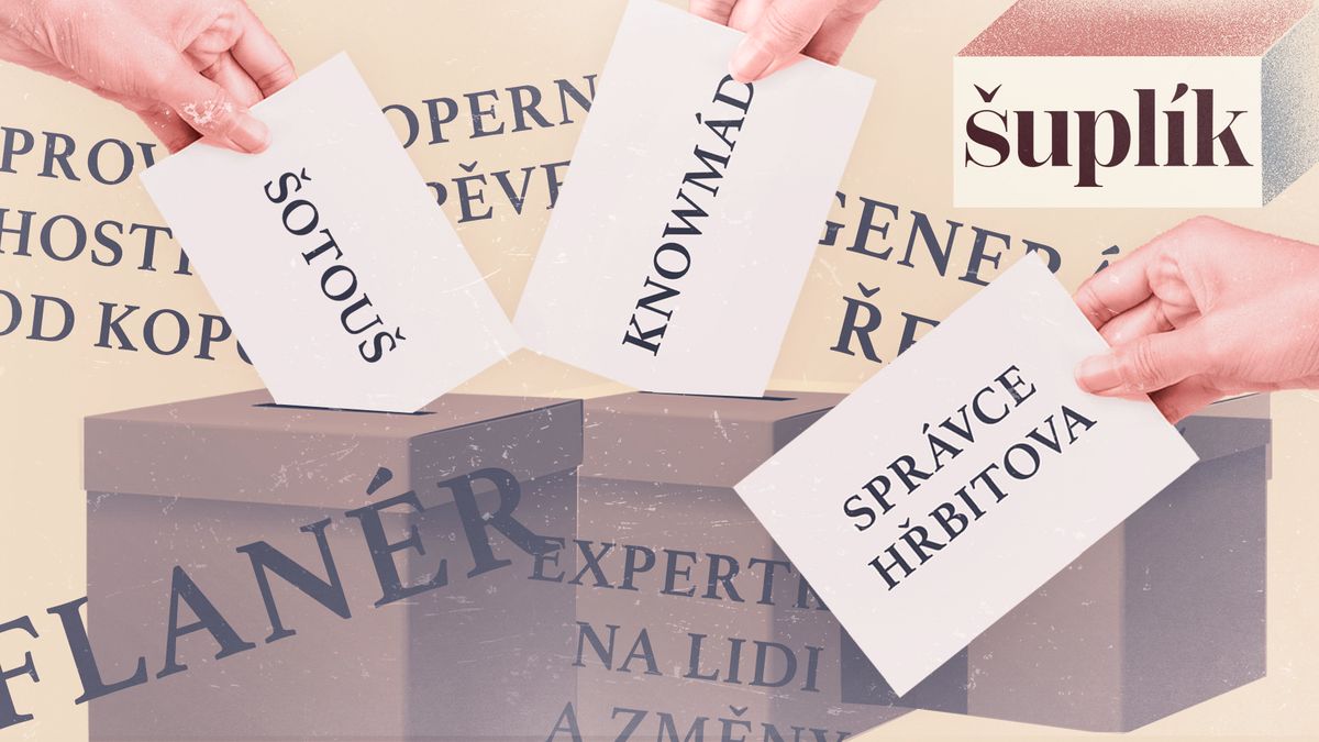 Sejdou se šotouš, flanér a výborná kuchařka. A pak že není koho volit!