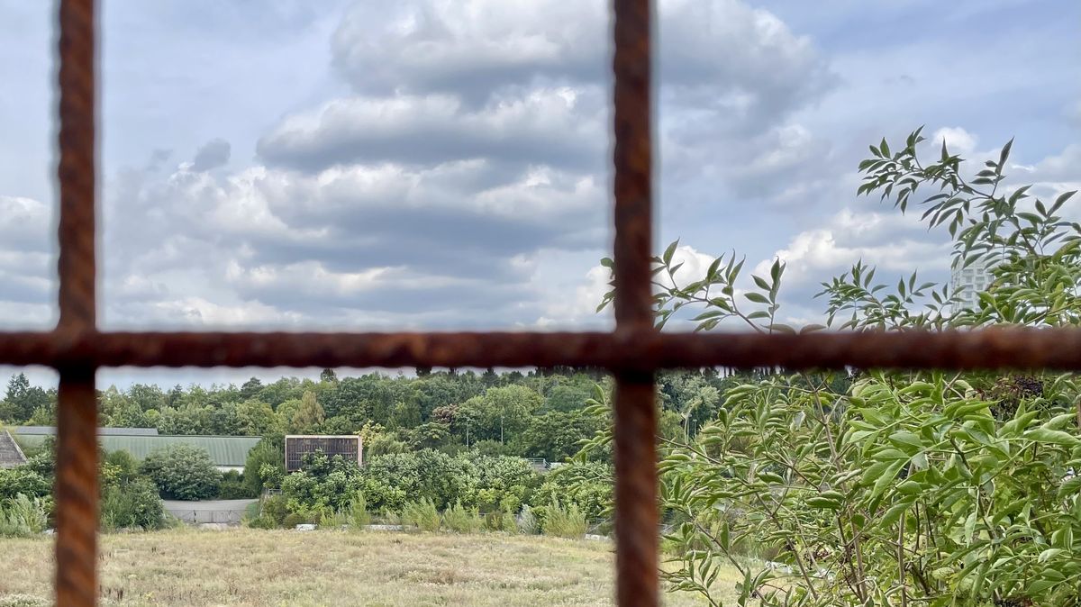 První reálný krok k návratu fotbalu za Lužánky. Brno chystá prodej pozemků