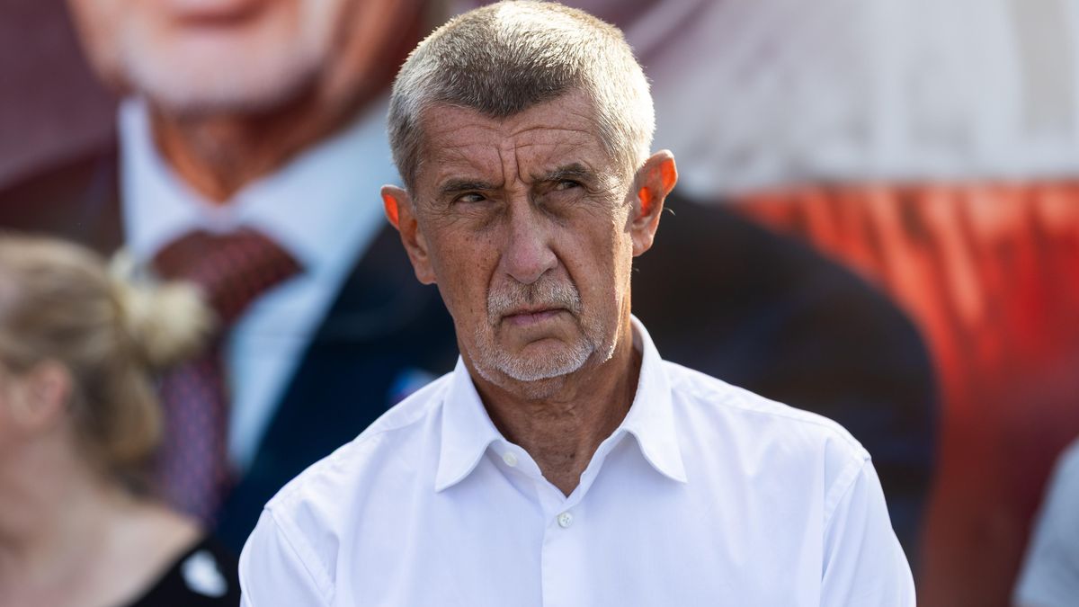 Babišova lesnická firma se chce vyhnout střetu zájmů, ve hře je i prodej