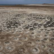 Vědci uvedli, že prudký pokles začal v roce 2022 vypuknutím ptačí chřipky, která zabila desítky tisíc ptáků, tučňáků a lachtanů.