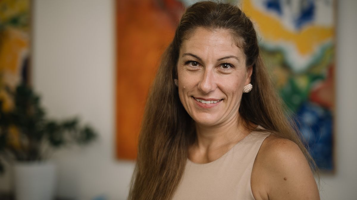 Soudce Vrcha čelí kárné žalobě. Podle Decroix neoprávněně procházel spisy