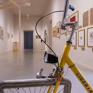 Přehlídka potrvá do 14. září. Jmenuje se Jízlivá něha, což dle pořadatelů symbolizuje tvorbu Plíškové.