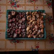 Na území kolonie, kterou lemoval ostnatý drát a nedalo se z ní volně odejít, byl později objeven hromadný hrob obětí tyranie. Osada začala ztrácet svou nedotknutelnost po pádu Pinochetova režimu na začátku 90. let. (Květinové cibulky na stole v kuchyni Dorothey Baar, Villa Baviera, 20. července.)