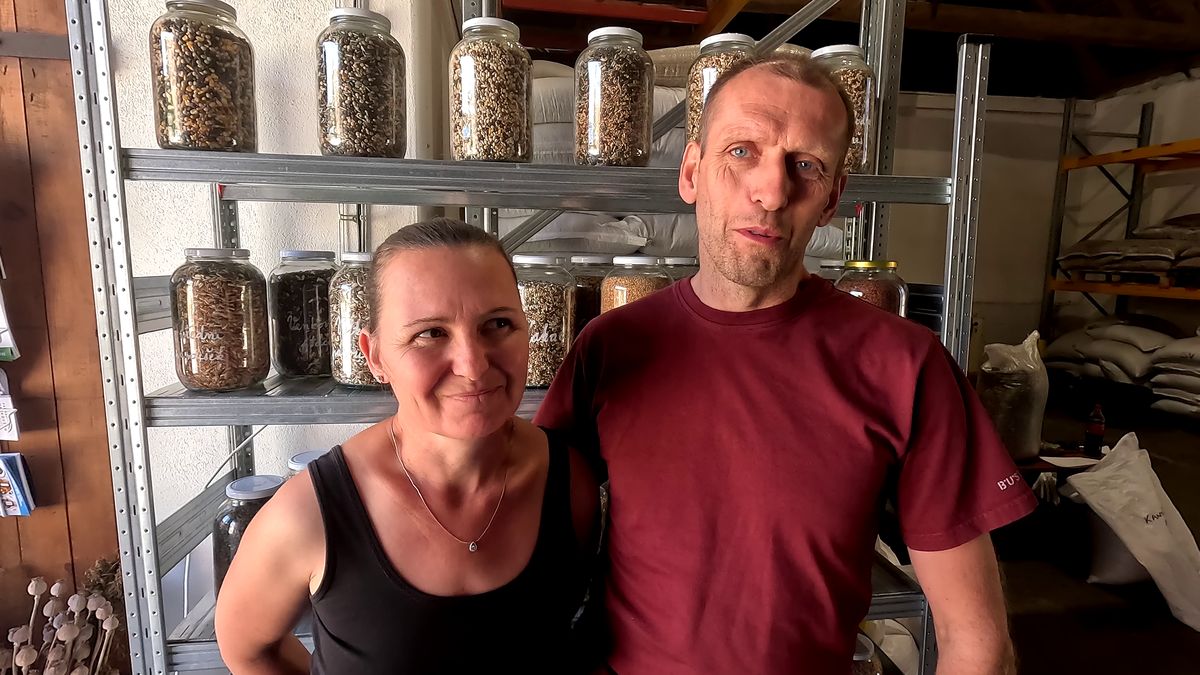 Tady se dělá menu pro závodní holuby. Farma našla způsob, jak přežít sucha