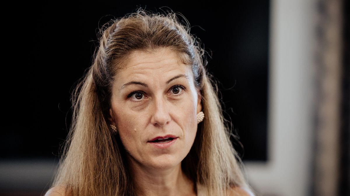 „Celé je to blbě.“ Decroix prozradila, jak dopadl tryskový audit
