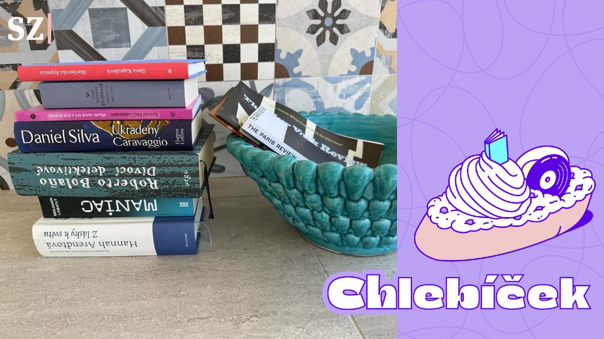 Fiala, nebo Babiš? Ať rozhodnou jejich knihovny