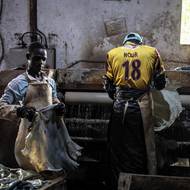 Mnozí se proto obracejí na tradiční koželužnu Majema, založenou v roce 1932 v srdci města Kano. 

(Dělníci v továrně Ztannery v Kanu, 11. září.)