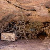 V roce 2016, kdy byla RNCE zapsána na seznam světového dědictví UNESCO, si čadská vláda najala jihoafrickou organizaci African Parks, aby jí po dobu 15 let pomohla s provozem.