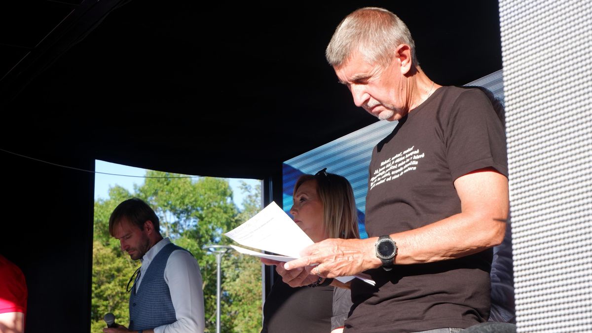 Senior, který před volbami napadl Babiše holí, dostal od soudu podmínku