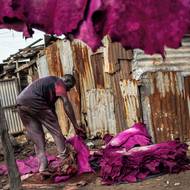 Vláda v srpnu v Lagosu zahájila provoz továrny, jejímž cílem je výroba kožených výrobků a vytvoření 10 000 pracovních míst. Továrna se nachází v blízkosti jednoho z největších kožených trhů v zemi.

(Leštění barvené ovčí kůže v koželužně Majema, 11. září.)