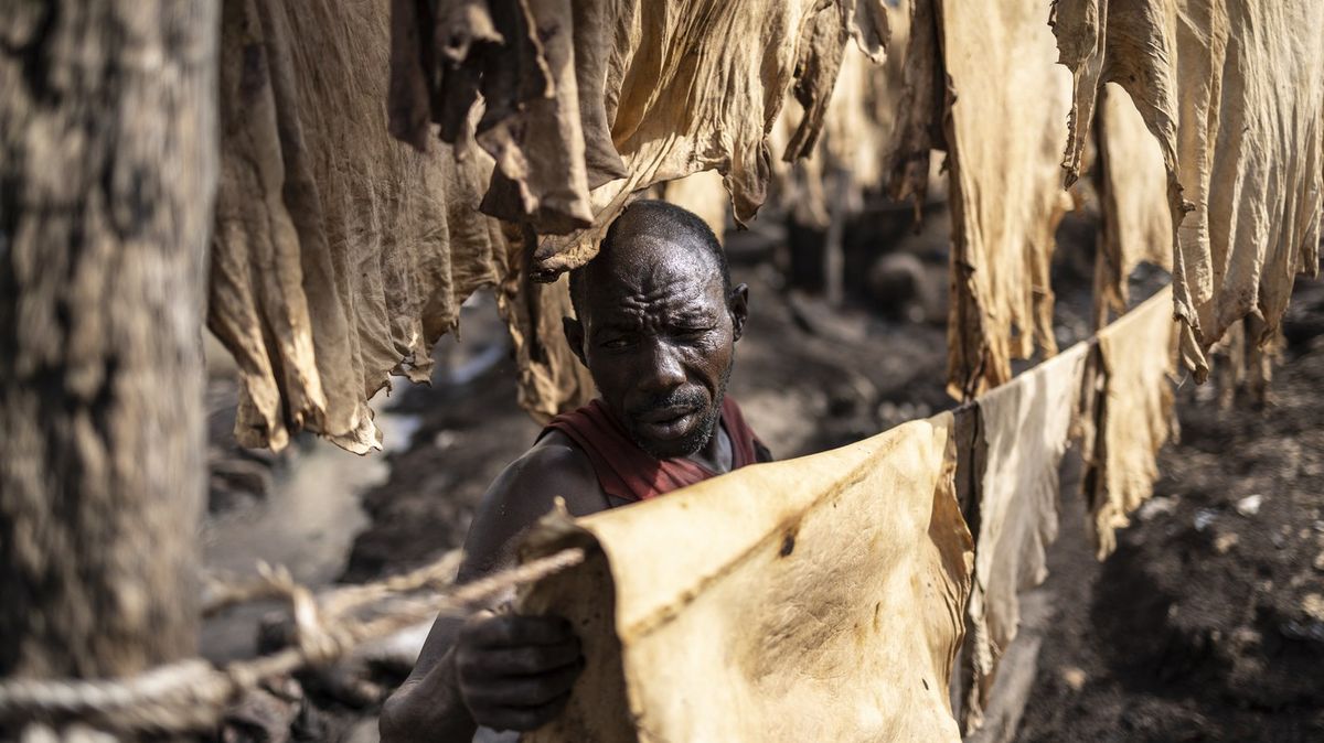 Fotky: Gucci i Vuitton tu kupují kůži, málokdo to ví. Snaží se vzepřít