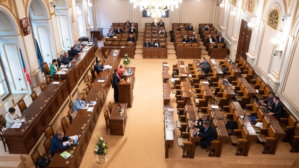 Nové tváře Sněmovny: Turek, Ševčík, Šichtařová, nebo „zelená“ Svárovská