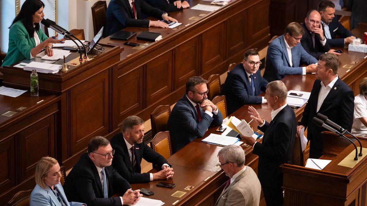 Z politických matadorů poradci. Exposlanci hledají novou práci