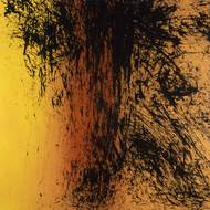 Hans Hartung: T1981-E23, olej na plátně, 1981.