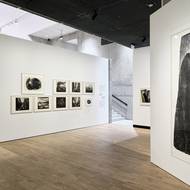 Anna-Eva Bergman & Hans Hartung, výstava, Kunsthalle, 2025.