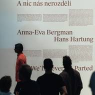 Anna-Eva Bergman & Hans Hartung, výstava, Kunsthalle, 2025.