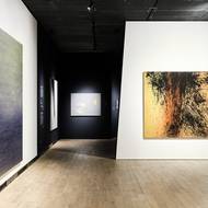 Vpravo je Hartungův olej na plátně nazvaný T1981-E23 z roku 1981.