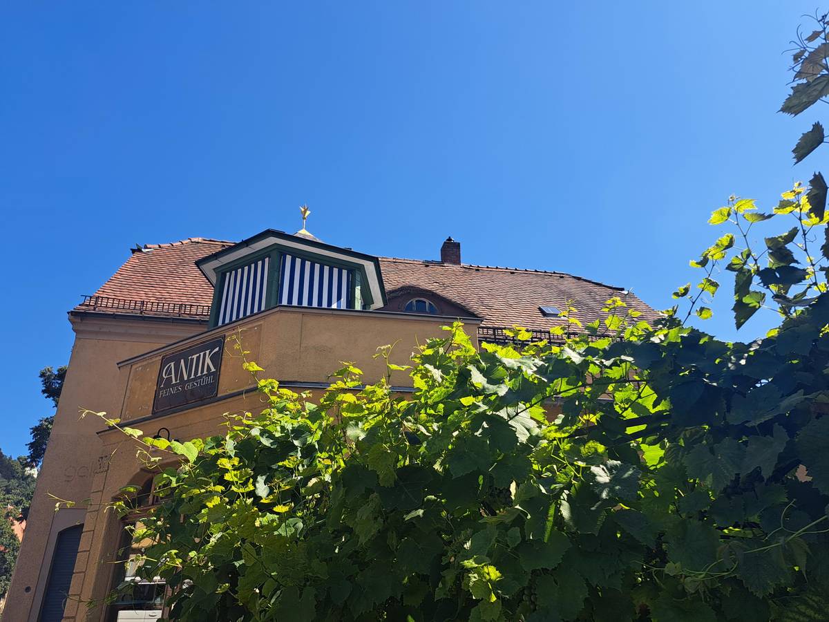 Loschwitz a okolí Kronerplatzu.