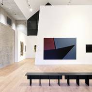 Anna-Eva Bergman & Hans Hartung, výstava, Kunsthalle, 2025.