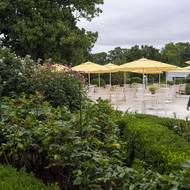 V Bílém domě chce nechat vybudovat taneční sál za 200 milionů dolarů (4,2 miliardy Kč). Stavba má začít v září.