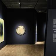 Anna-Eva Bergman & Hans Hartung, výstava, Kunsthalle, 2025.