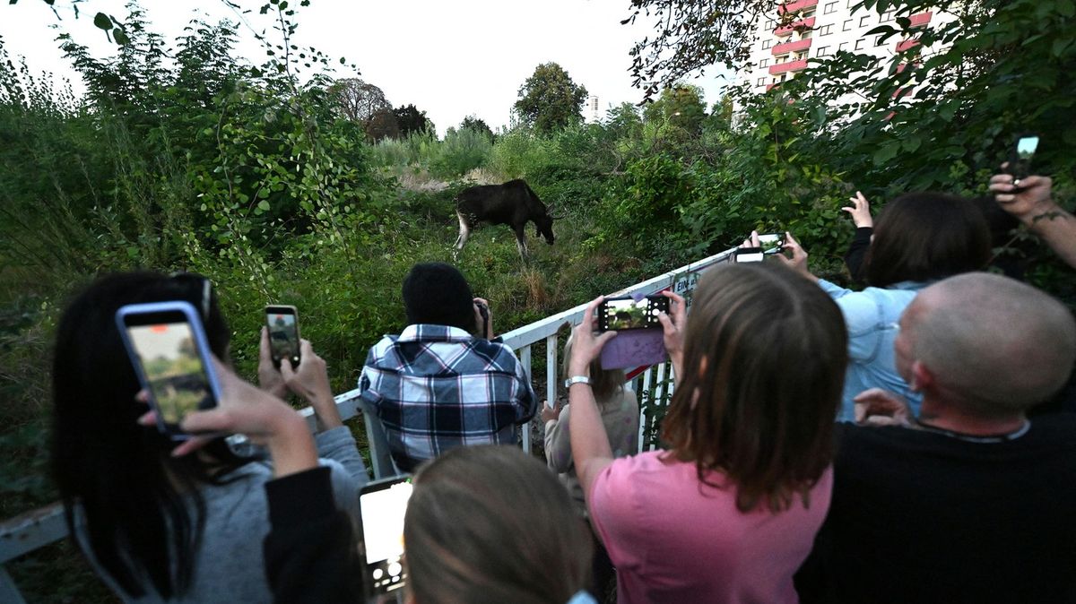 Los Emil zastavil v Rakousku vlaky