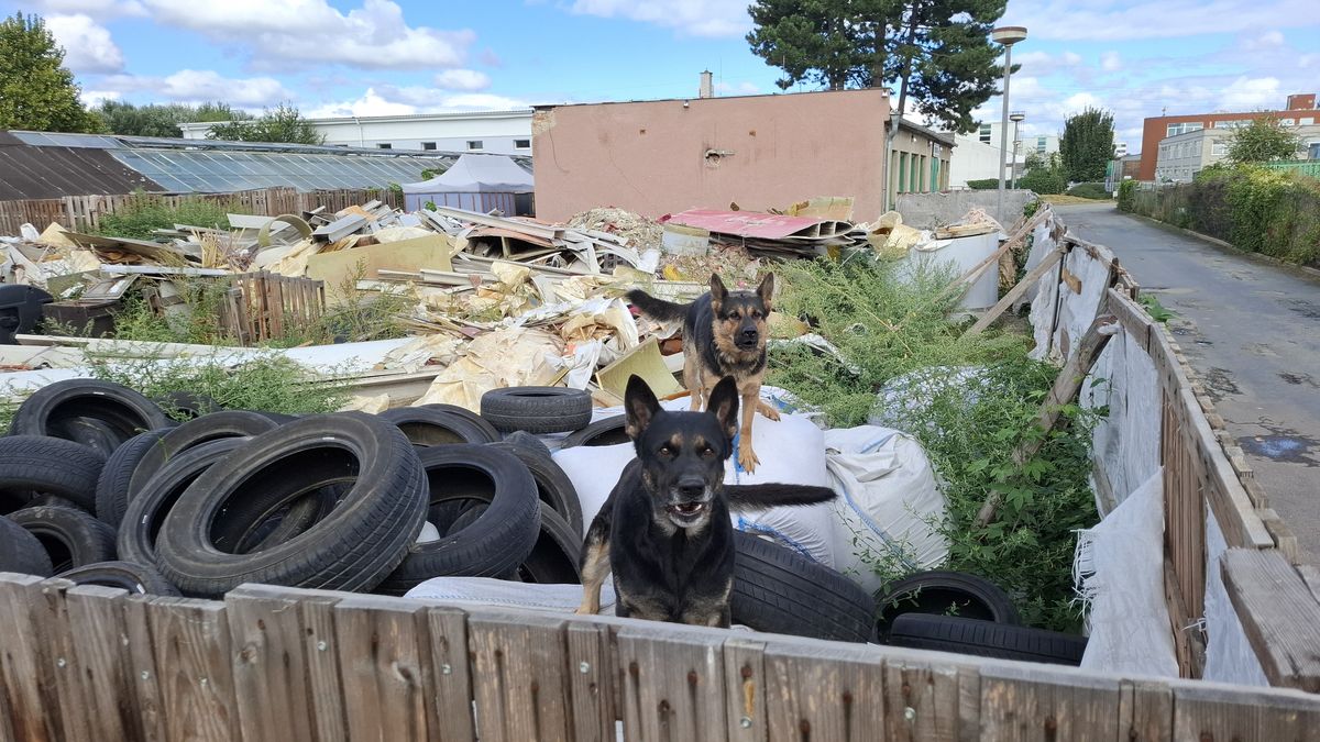 Najatá firma odvezla z nelegální skládky v Brně plánovaných 35 tun odpadu