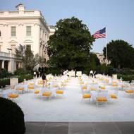 Nynější výnos republikánského prezidenta však zachází o krok dál tím, že odmítá zásady pro federální architekturu z 60. let, podle kterých by se vláda měla vyhýbat „oficiálnímu stylu“ a nechat se vést soudobými architekty.