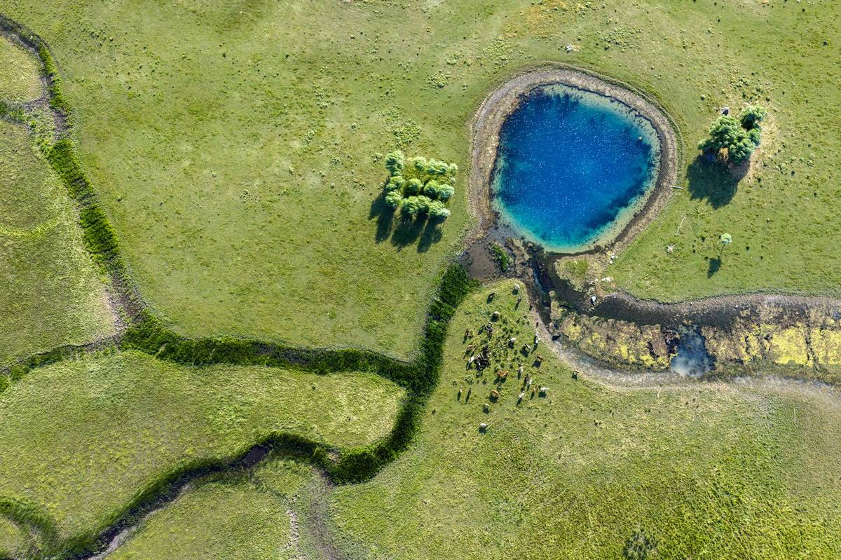 „To jezero je mrtvé. Nedá se k tomu víc říct. Nechť celé Turecko truchlí,“ řekl deníku Hürriyet Hasan Kurt, vedoucí rybářského družstva Beyşehir. Rybáři podle něj musí lovit v místech vzdálených 1500 metrů od původního břehu jezera.

(Letecký snímek jezera Beyşehir, 29. června.)