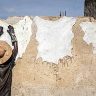 „Zpracováváme kůže od nuly až po polotovary, což představuje 80 procent celého procesu,“ řekl 47letý majitel společnosti Abbas Hassan Zein.

(Koželuh suší kůže v koželužně Majema ve čtvrti Kofar Wambai v Kanu, 10. září.)